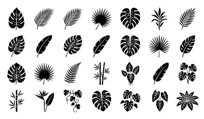 Elegant Tropical Leaf Silhouette Vector Set Exotic Botanical Foliage Collection EPS10 © MstNazma