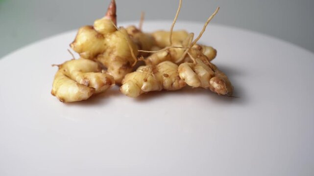 Fresh Ginger Root (Zingiber officinale) Organic Herbal Spice, Ayurvedic Medicinal Ingredient, Natural Antioxidant, Healthy Cooking, and Wellness
