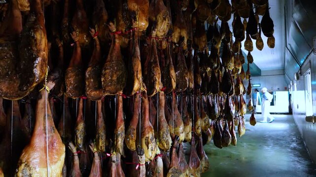 Iberian Pork Ham Drying Facility in the town of Jabugo in the Municipality of Jabugo in the Sierra de Aracena and Picos de Aroche Natural Park in Sierra Morena. Province of Huelva. Andalusia. Spain.