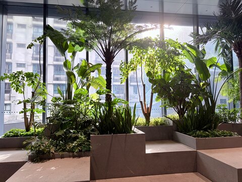 Lush indoor garden garden arrangement in modern office atrium