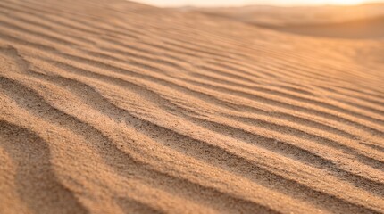 Fototapeta premium A high angle view of golden sand dunes in the desert landscape during a beautiful sunset creating long shadows and soft textures across the terrain