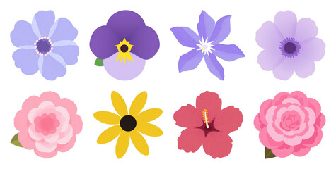 Fototapeta premium PNG Colorful floral vector element set on transparent background