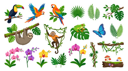 Obraz premium Tropical Birds And Jungle Leaves Exotic Nature Illustration Set
