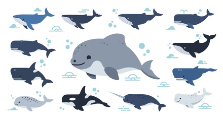 Whales and dolphins swimming together 1. © Nb