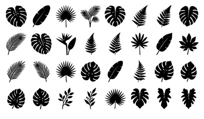 Minimal Black Botanical Tropical Leaf Vector Pack for Logos Patterns and Summer Designs © Majadur