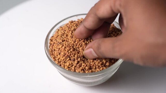Organic Fenugreek Seeds (Methi) Natural Ayurvedic Spice, Herbal Ingredient, Healthy Cooking, Medicinal Seed, Rich Nutrition, and Traditional Wellness