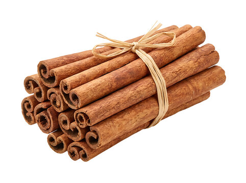 Cinnamon sticks bundle tied with twine. Aromatic spice sticks isolated on transparent background