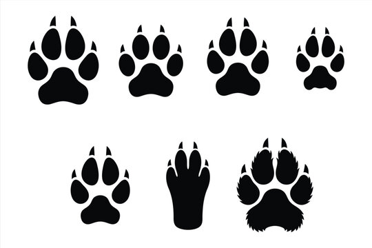 Collection of various animal paw prints with claws