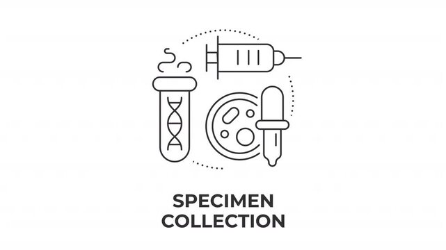 Specimen collection line concept icon animation. Modern medical biosafety protocols. Advanced clinical lab sampling. Animated outline round motion graphic. Minimal HD video with alpha channel