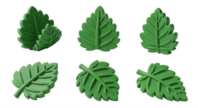 3d rendered green leaves on a white background studio shot suggesting nature design ecology and decorative purposes