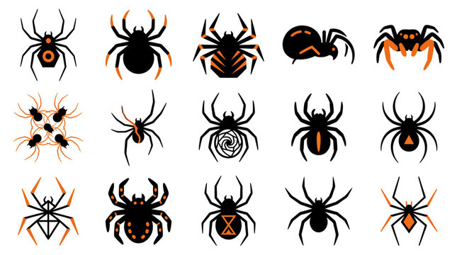 A collection of various spider icons and silhouettes isolated on a white background for educational or design projects