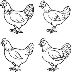 Set of four black and white hen drawings showing different illustration techniques from clean line art and vintage engraving to expressive hand-drawn sketches  © Dulaly