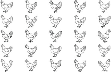 Set of four black and white hen drawings showing different illustration techniques from clean line art and vintage engraving to expressive hand-drawn sketches  © Dulaly