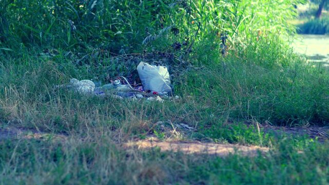 Discarded plastic packaging and food containers polluting green grass on riverbank showcasing environmental pollution issue