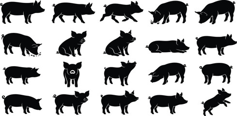 Pig silhouette set, farm animal vector icons, standing, running, eating, sitting, lying, jumping, front view, isolated white background, black design © RAFI