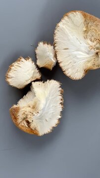 pieces of dried lion's mane mushroom. High quality 4k footage