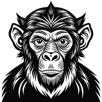 monkey silhouette icon set. Animals logos collection and isolated on White background