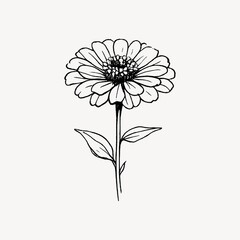 Obraz premium Elegant floral line art illustration.