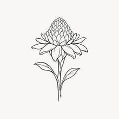 Obraz premium Minimalist line art flower illustration.