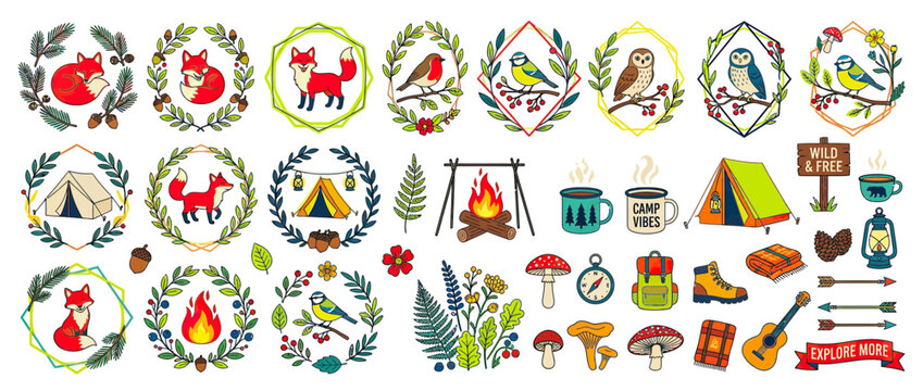 Whimsical Woodland Creatures and Camping Elements Collection