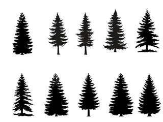 Fototapeta premium Pine tree silhouettes set, 10 evergreen conifer vector shapes. Black spruce and fir forest elements for outdoor landscape design and winter graphics