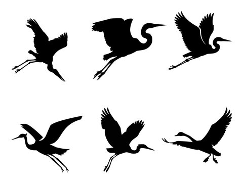 Set of Flying Heron and Crane Black Silhouettes Vector Isolated on White Background