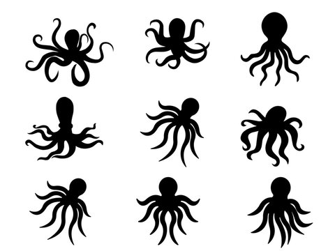 Octopus silhouette collection, nine black sea creature icons, marine animal vector set, kraken and cephalopod shapes for aquatic design