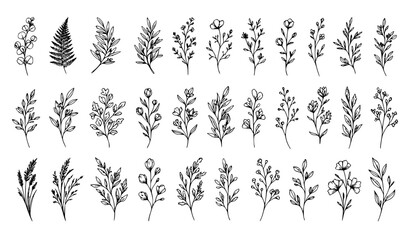 Fototapeta premium Hand Drawn Botanical Branches and Leaves Outline Vector Set