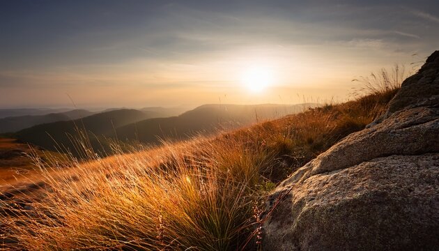 dry grass on a rocky hill in golden hour light with a gradient sky creating a serene nature landscape background