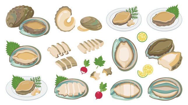 Set of abalone seafood ingredients, raw and cooked mollusk meat, sliced shellfish, lemon and garnish, gourmet dining, culinary menu illustration
