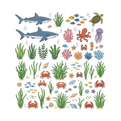 Obraz premium Collection of marine life, coral reefs, and aquatic plants on a white background, illustrating an underwater ecosystem