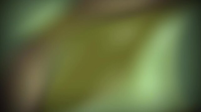 Soft green and yellow tones blur together creating a gentle abstract background.