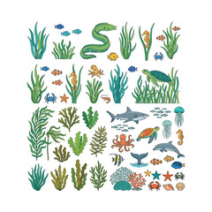 Obraz premium Hand drawn vector collection of cute marine animals and colorful underwater plants isolated on white