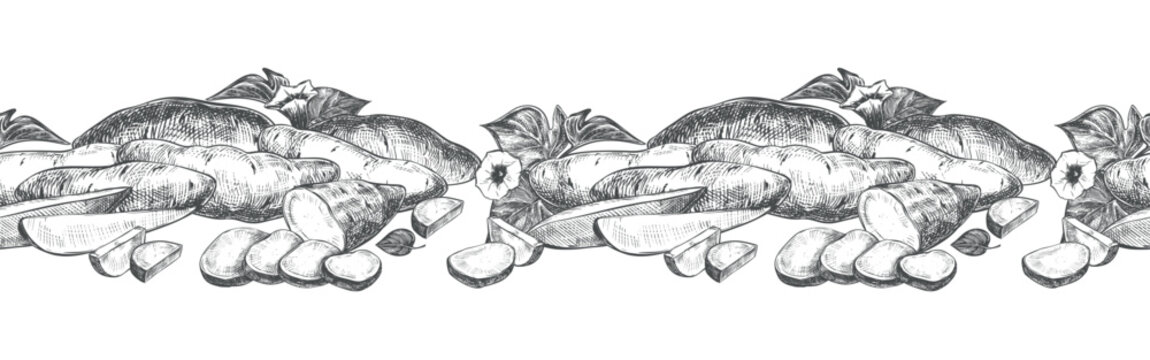 A seamless pattern, of sweet potatoes. Vector sketch of yams lying on a table. Whole batsts, halves, nippers and slices depicted in an engraved style. Line drawing kumara in ink. Rustic style.