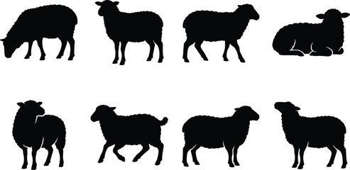 Sheep Silhouette Collection Featuring Grazing Standing Walking Resting and Farm Animal Poses Isolated Black Vector Set © Miss