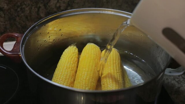 Fresh yellow corn cobs boiling in a large metal pot of corn water on the kitchen stove, more water being poured in from a kettle to help this corn cook well and evenly