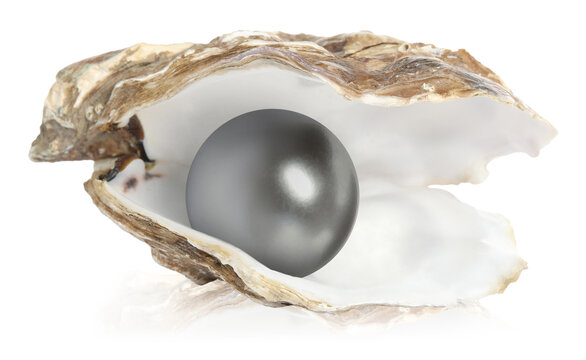 Open oyster and pearl isolated on white