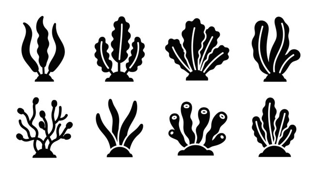 Set of diverse underwater plant silhouettes, isolated on white background