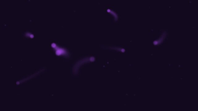 Halloween background of floating will o wisp lights with glowing trails, seamless loop in purple and black