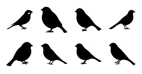 Fototapeta premium Black silhouette birds in different poses - Eight stylish black bird silhouettes in varied standing and sitting poses, perfect for nature or design projects.