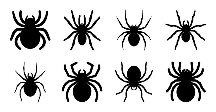 Eight black spiders in a grid pattern - Clean and minimal vector illustration of eight identical black spiders arranged neatly in a two-by-four grid.