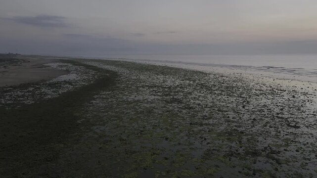 Aerial drone footage of sunrise over the mossy rocky beach at Phuoc Dinh Coast, Khanh Hoa, Vietnam, featuring emerald seaweed, golden light, crystal-clear sea and dramatic coastal scenery.