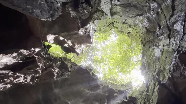 Natural skylight illuminates the interior of Bukit Lawang Bat Cave through a large opening in the limestone ceiling, revealing tropical rainforest vegetation above. Check the gallery for similar foota