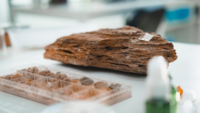 Rock sample laboratory geology mineral specimen analysis tray science research on white bench with close up texture shallow depth collection box bottle clean workspace