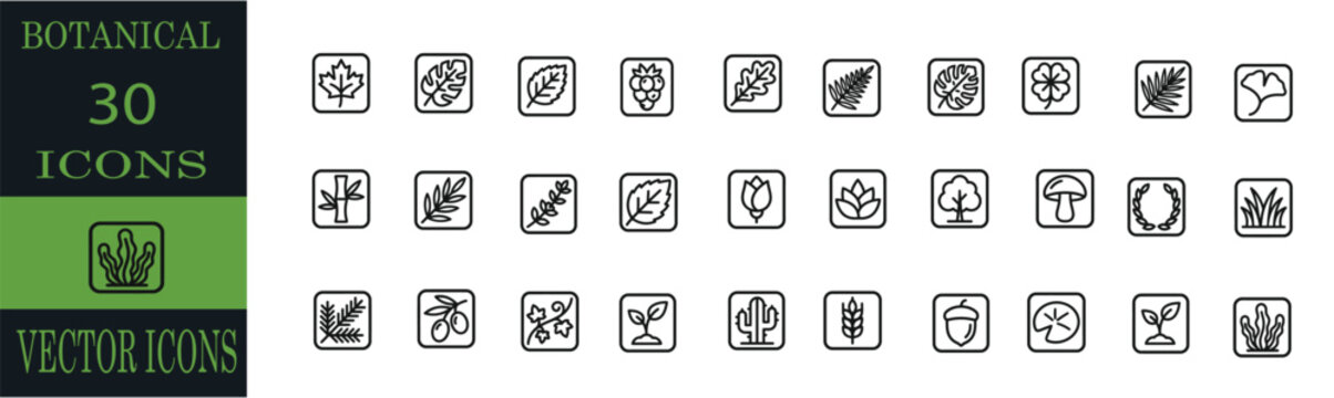 Set of thirty business and finance related editable line icons vector illustration for professional web design and mobile application interface projects.editable line icons. Vector illustration