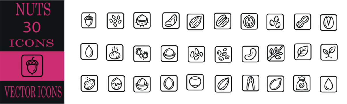 Nut 30 Icon set.Set of business and finance related symbols presented as editable line icons vector illustration for modern professional web design project . editable line icons. Vector illustratio