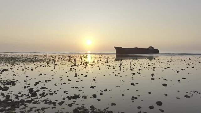 Aerial drone footage of sunrise over the mossy rocky beach at Phuoc Dinh Coast, Khanh Hoa, Vietnam, featuring emerald seaweed, golden light, crystal-clear sea and dramatic coastal scenery.