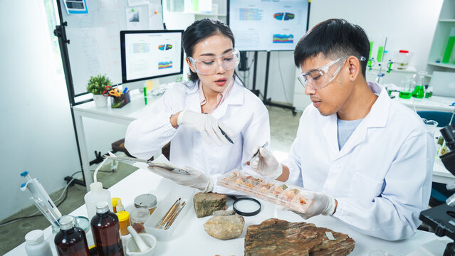 Scientist laboratory research fossil rock microscope specimen geology study with Asian adult researcher wearing lab coat and protective eyewear examining natural sample
