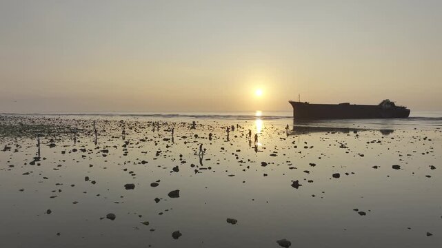 Aerial drone footage of sunrise over the mossy rocky beach at Phuoc Dinh Coast, Khanh Hoa, Vietnam, featuring emerald seaweed, golden light, crystal-clear sea and dramatic coastal scenery.