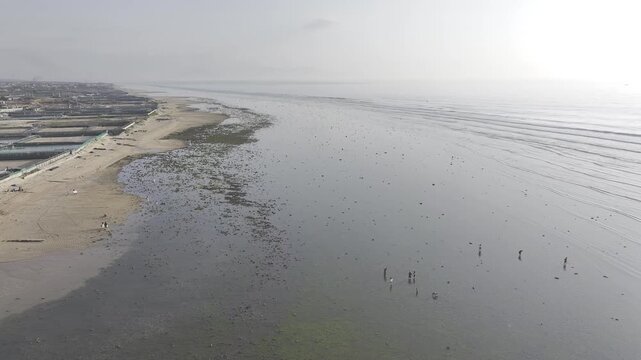 Aerial drone footage of sunrise over the mossy rocky beach at Phuoc Dinh Coast, Khanh Hoa, Vietnam, featuring emerald seaweed, golden light, crystal-clear sea and dramatic coastal scenery.